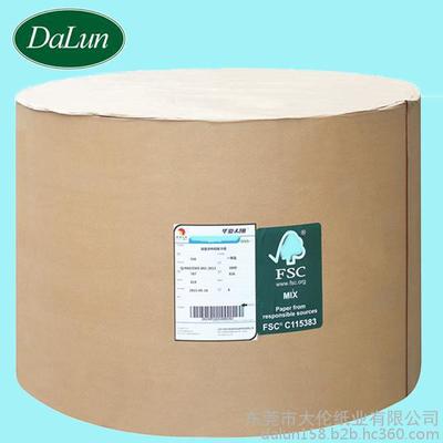 双胶纸家族全解析 晨鸣云镜与金华盛金球书卡的应用指南